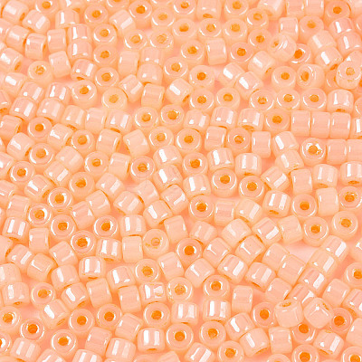 Glass Seed Beads SEED-T008-01C-1