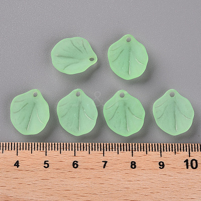 Transparent Frosted Acrylic Pendants MACR-S371-02A-733-1