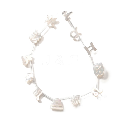 12Pcs 12 Styles Natural White Shell Beads BSHE-Z008-12-1