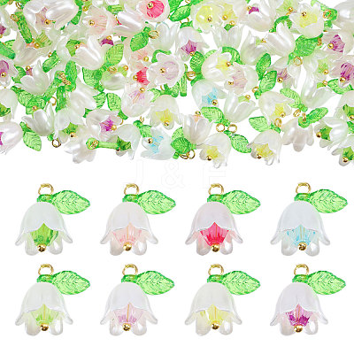 240Pcs 8 Colors ABS Plastic Imitation Pearl Pendants PALLOY-CA00026-1