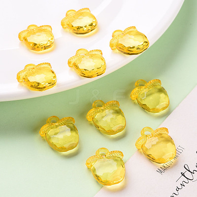 Transparent Acrylic Pendants TACR-S154-28B-81-1