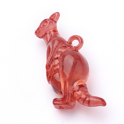 Transparent Acrylic Pendants TACR-T002-09-1