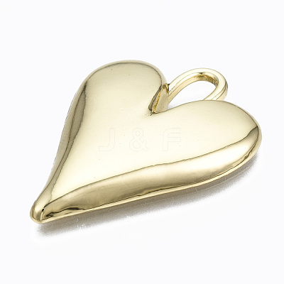 Alloy Pendants PALLOY-T067-198LG-RS-1