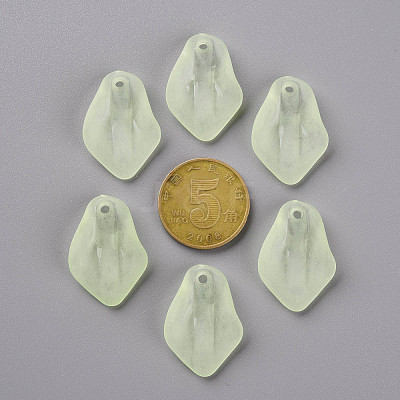 Transparent Frosted Acrylic Pendants MACR-S371-03A-728-1
