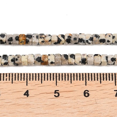 Natural Dalmatian Jasper Beads Strands G-G345-C14-2x4mm-1