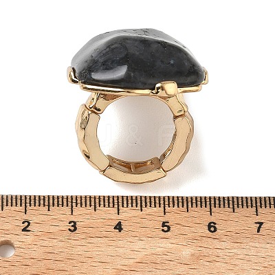Natural Labradorite & Alloy Finger Rings for Women RJEW-G375-01G-05-1
