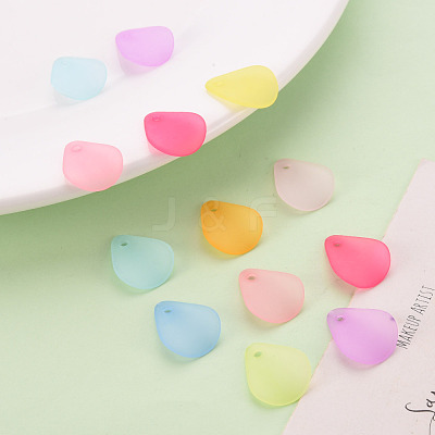 Transparent Frosted Acrylic Pendants MACR-S371-09A-1