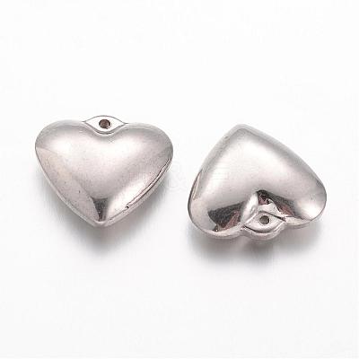 Tarnish Resistant 304 Stainless Steel Charms STAS-G076-01P-1