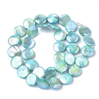 Freshwater Shell Beads Strands SHEL-S274-52A-1