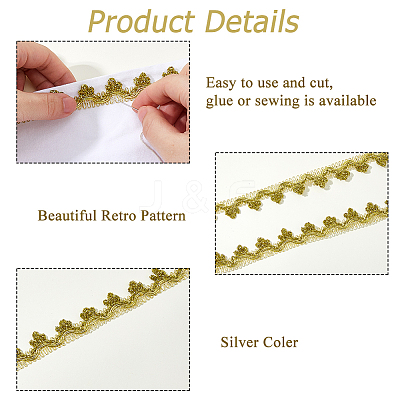 Nylon & Gold Metallic Lace Trim OCOR-WH0070-225A-1