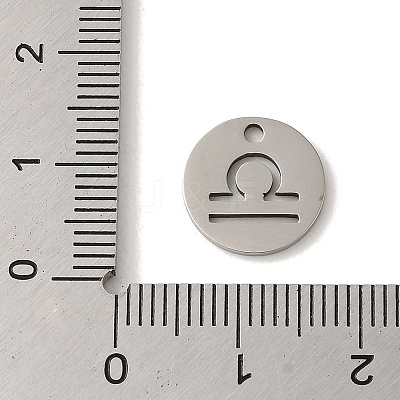 Non-Tarnish 201 Stainless Steel Charms STAS-E217-10P-03-1