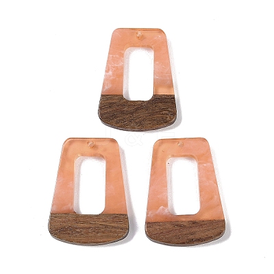 Resin & Wood Pendants LS-WOOD-F015-11B-1