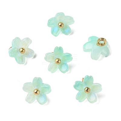 Alloy Acrylic Pendants TACR-P016-01G-14-1