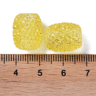 Transparent Resin European Jelly Colored Beads RESI-B025-01A-12-1