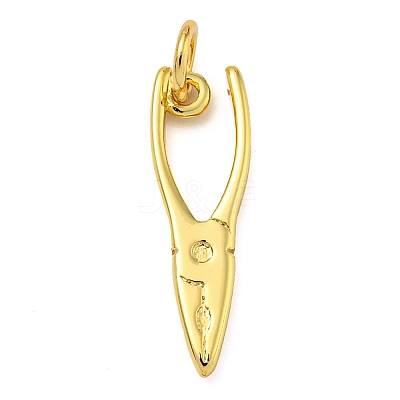 Rack Plating Brass Pendants KK-Z063-30D-G-1