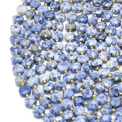 Natural Blue Spot Jasper Beads Strands G-C116-A73-02-1
