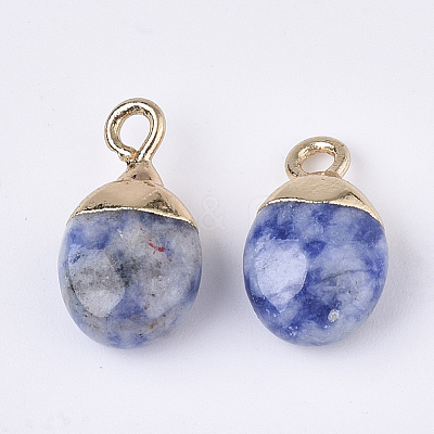 Electroplate Natural Blue Spot Jasper Charms G-S344-09I-1