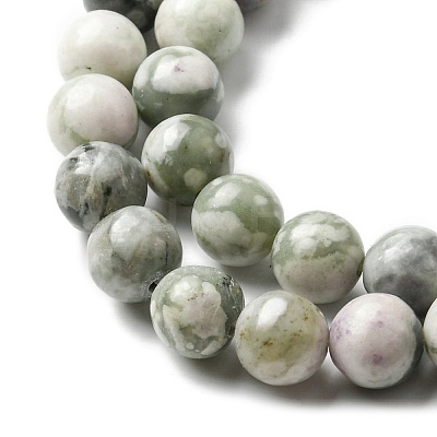 Natural Peace Jade Beads Strands X-G-E598-04B-1