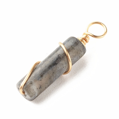 Natural Larvikite Pendants PALLOY-JF01453-05-1