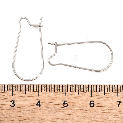 Tarnish Resistant 316 Surgical Stainless Steel Hook Earrings STAS-E009-5-1