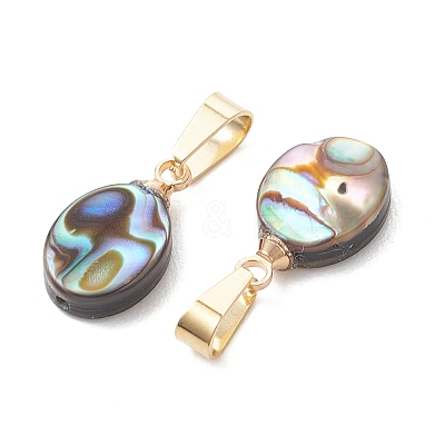 Abalone Shell/Paua Shell Pendants PALLOY-JF05265-1