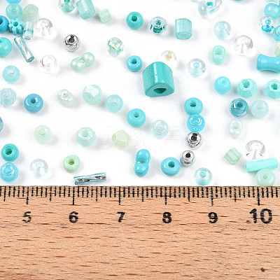 Glass Seed Beads SEED-N007-13D-1