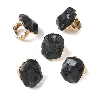 Natural Labradorite & Alloy Finger Rings for Women RJEW-G375-01G-05-1