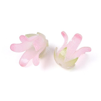 Heat Shrink Acrylic Bead Caps OACR-N155-04B-1