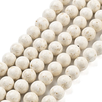 Natural Fossil Beads Strands G-H026-02D-1