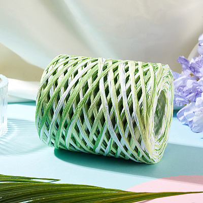 Raffia Twine Yarn OCOR-TAC0025-009D-1