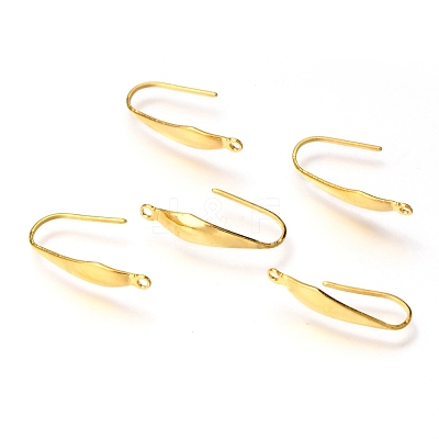 316 Stainless Steel Earring Hooks X-STAS-Z034-10G-1
