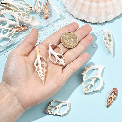 18Pcs 6 Styles Natural Shell Big Pendants BSHE-YW0001-20-1