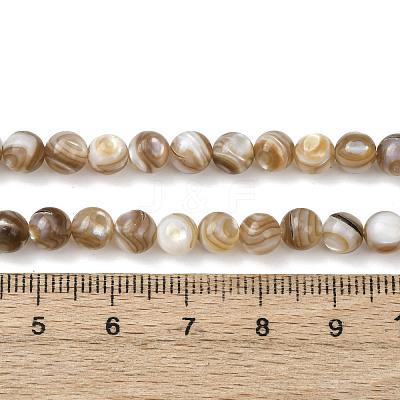 Natural Freshwater Shell Beads Strands SHEL-K006-71A-1