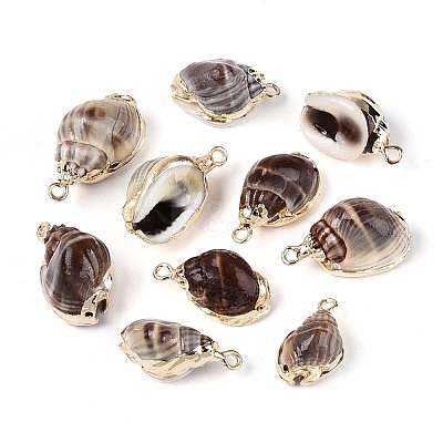 Electroplate Natural Sea Shell Pendants SSHEL-T017-44-1