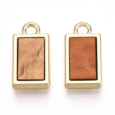 Alloy Charms PALLOY-N177-08G-1