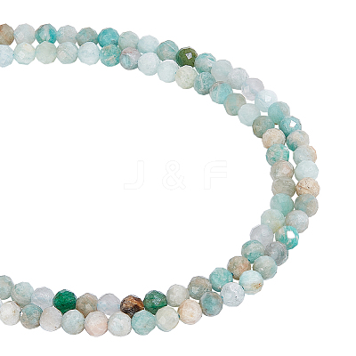 2 Strands Natural Flower Amazonite Beads Strands G-NB0004-59-1