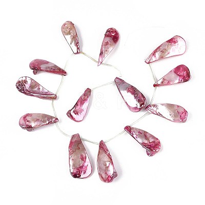 AB Color Plated Dyed Natural Freshwater Shell Beads Strands X-SHEL-T020-55A-1