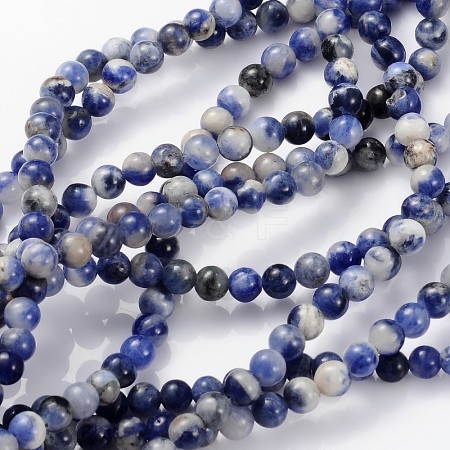 Natural Sodalite Beads Strands GSR4mmC013-1