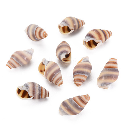 Natural Spiral Shell Beads SSHEL-T014-46-1