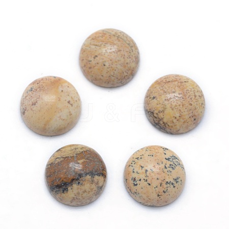 Natural Picture Jasper Cabochons G-P393-R51-4MM-1