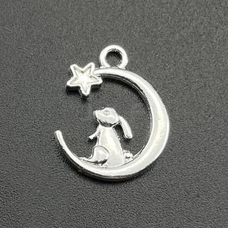 Alloy Pendants FIND-CJC0004-61S-1