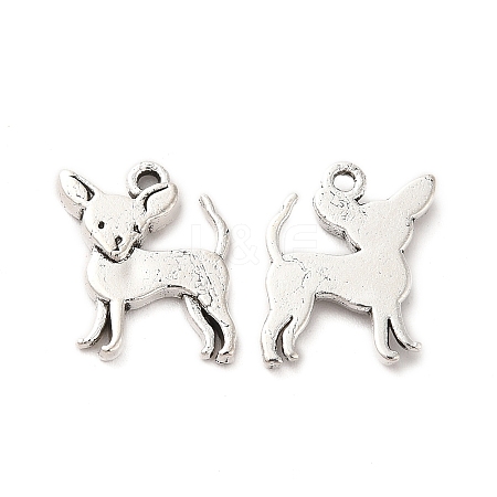 Tibetan Style Alloy Charms TIBE-B001-06AS-1