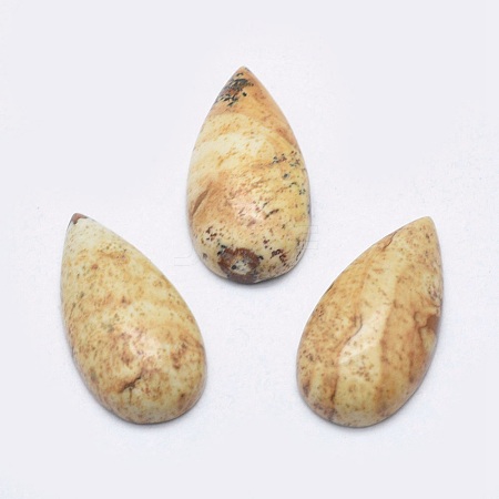 Natural Picture Jasper Cabochons G-P384-M04-1