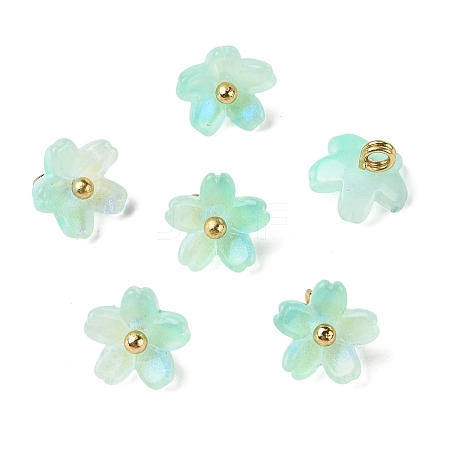 Alloy Acrylic Pendants TACR-P016-01G-14-1