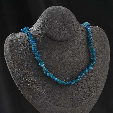 Natural Apatite Chip Beaded Necklaces for Men Women NJEW-G159-01I-1