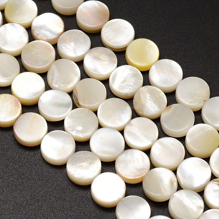 Natural Freshwater Shell Flat Round Bead Strands BSHE-M022-04-1