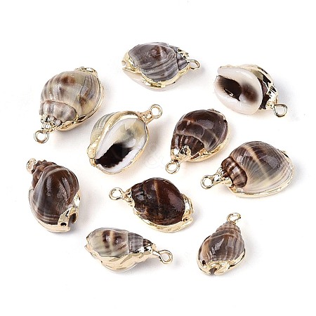 Electroplate Natural Sea Shell Pendants SSHEL-T017-44-1