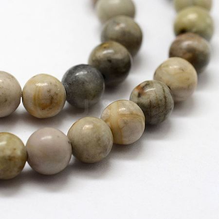 Natural Polychrome Jasper/Picasso Stone/Picasso Jasper Bead Strands LS-G-G667-01-6mm-1