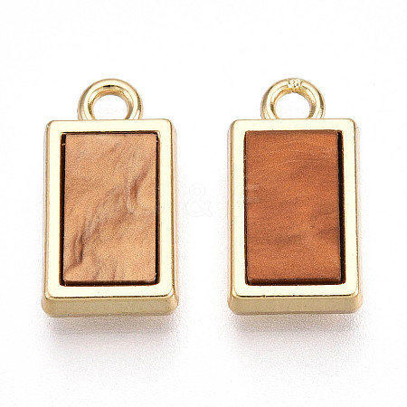 Alloy Charms PALLOY-N177-08G-1
