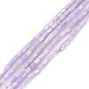 Natural Freshwater Shell Dyed Beads Strands SHEL-M018-12-11-1
